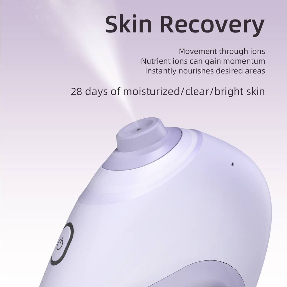Nano Facial Sprayer Water Stea - Hair Care Spray recension och pris