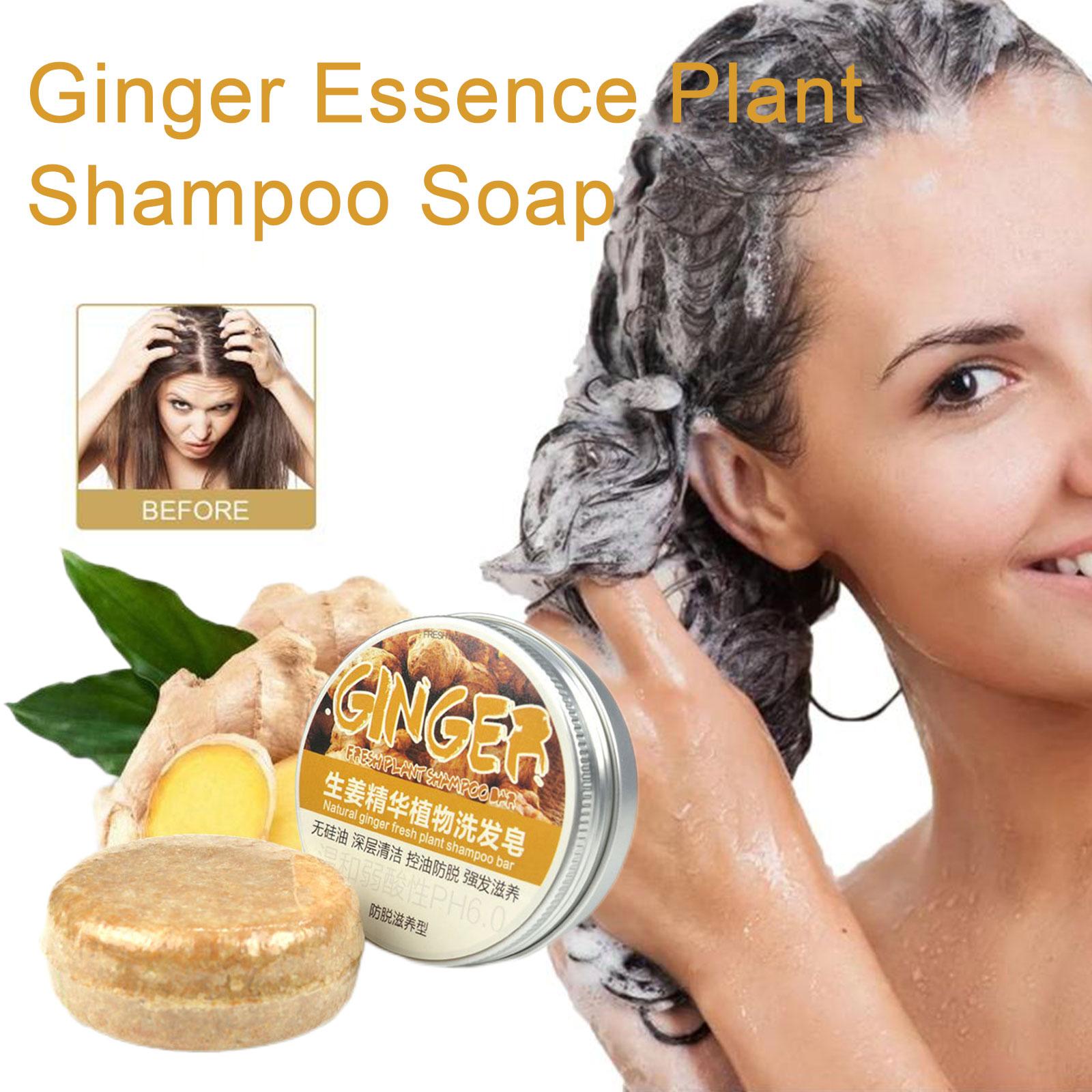 Ginger Polygonum Soap Shampoo  - Hair Care Organic recension och pris